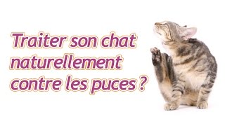 Peuton traiter son chat naturellement contre les puces ?