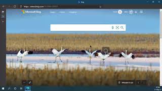 Bing News Quiz  Week 20 Of 2021