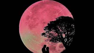 UNDER A STRAWBERRY MOON 
