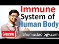 Innate and adaptive immunity  immune system of human body lecture