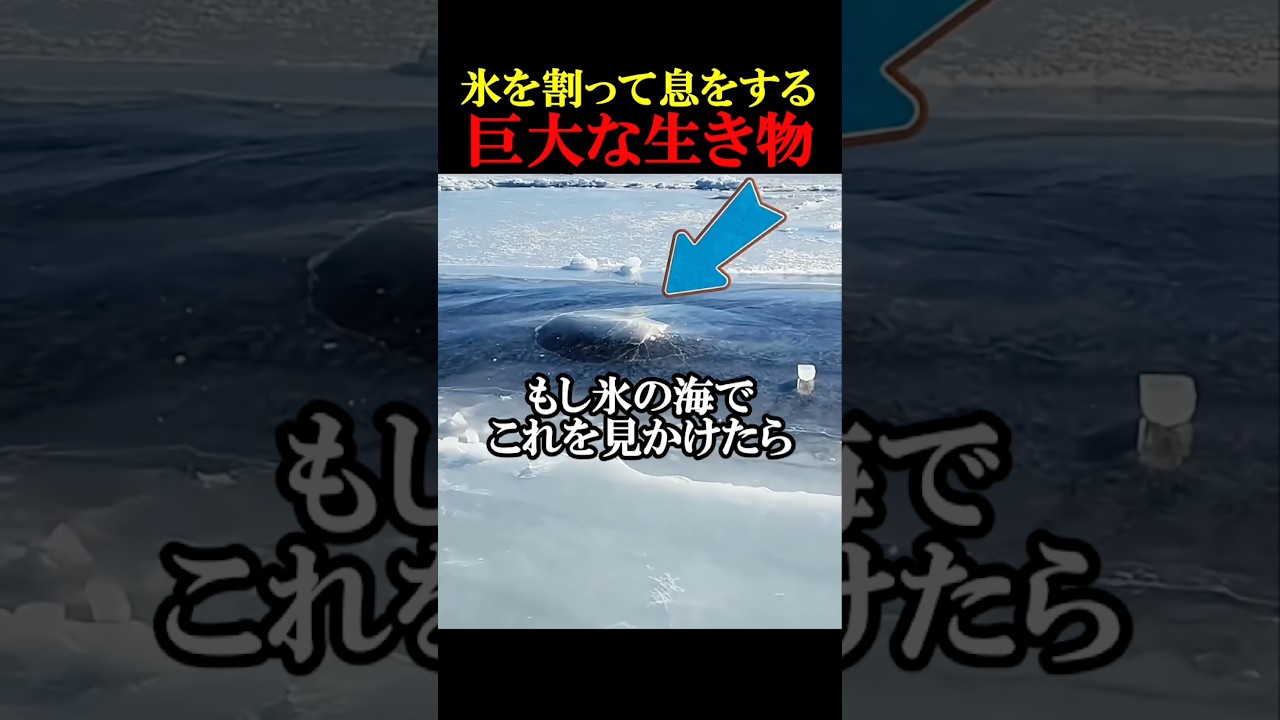氷から白い煙が噴き出す理由とは
