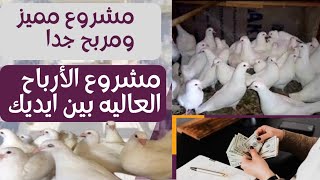 مشروع مميز وناجح جدا من منزلك فقط ٢٠٢٣ |أفضل مشروع منزلي غير مكلف 💰💰