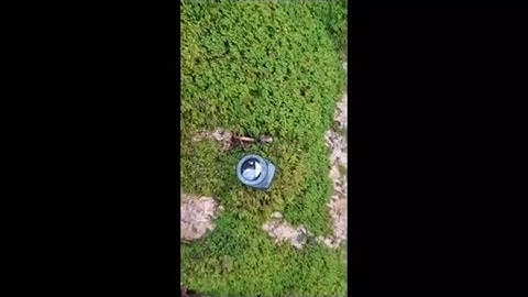 The myth and the truth behind find direction with Moss