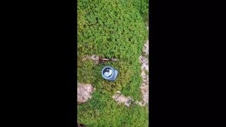 The myth and the truth behind find direction with Moss