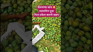 সাতক্ষীরার হিমসাগর আম 🥰 ফরমালিন মুক্ত #আম #mangoseason #mango