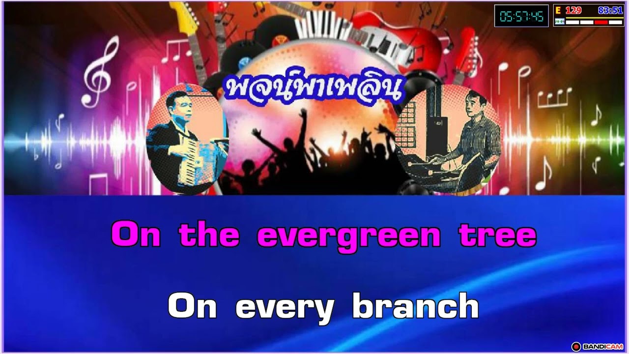 Evergreen Tree คาราโอเกะ Cliff Richard D