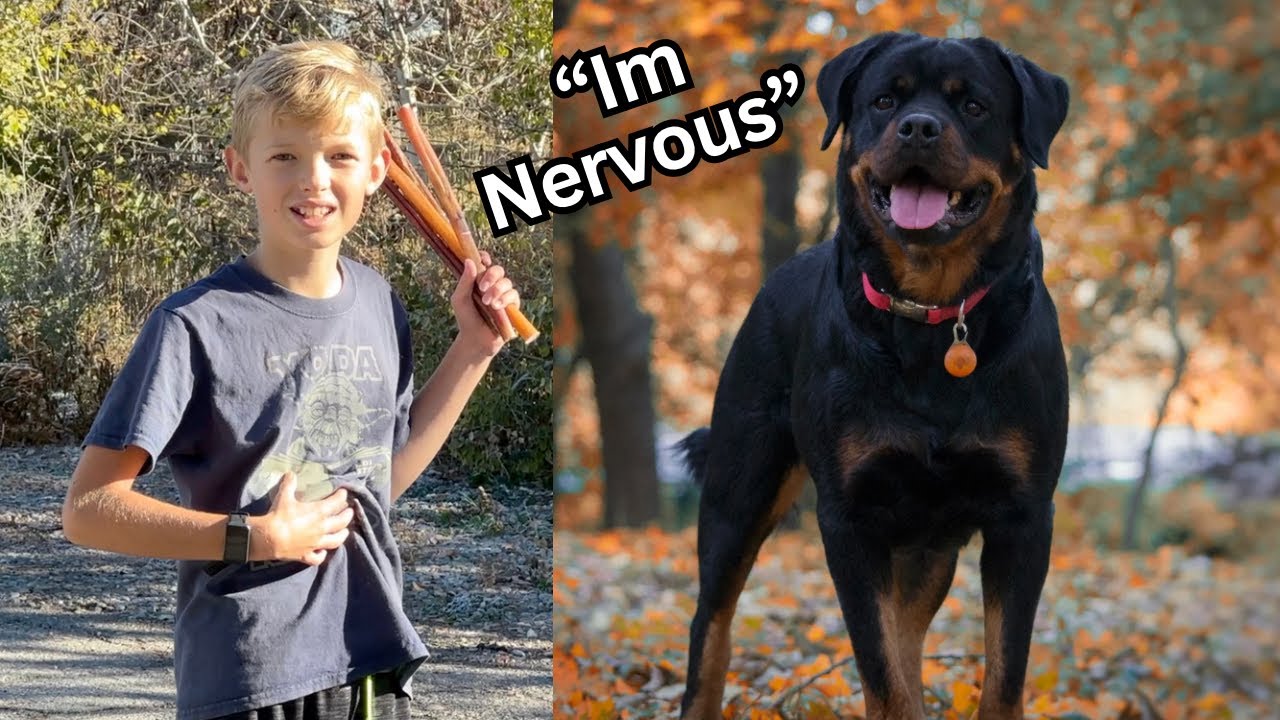 We Hired 10 Year Old Kid To Feed Our Rottweilers & They Did This… - YouTube