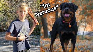We Hired 10 Year Old Kid To Feed Our Rottweilers & They Did This… by The Rotty Ranch 13,173 views 1 year ago 13 minutes, 7 seconds