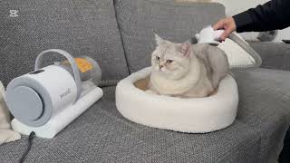 Pecute Pet Grooming Vacuum Review  #pecute #petgrooming
