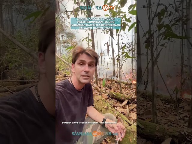 Channe Kalaweit Unggah Video Permintaan Tolong Padamkan Karhutla DiKonservasi Kalaweit Barito Utara