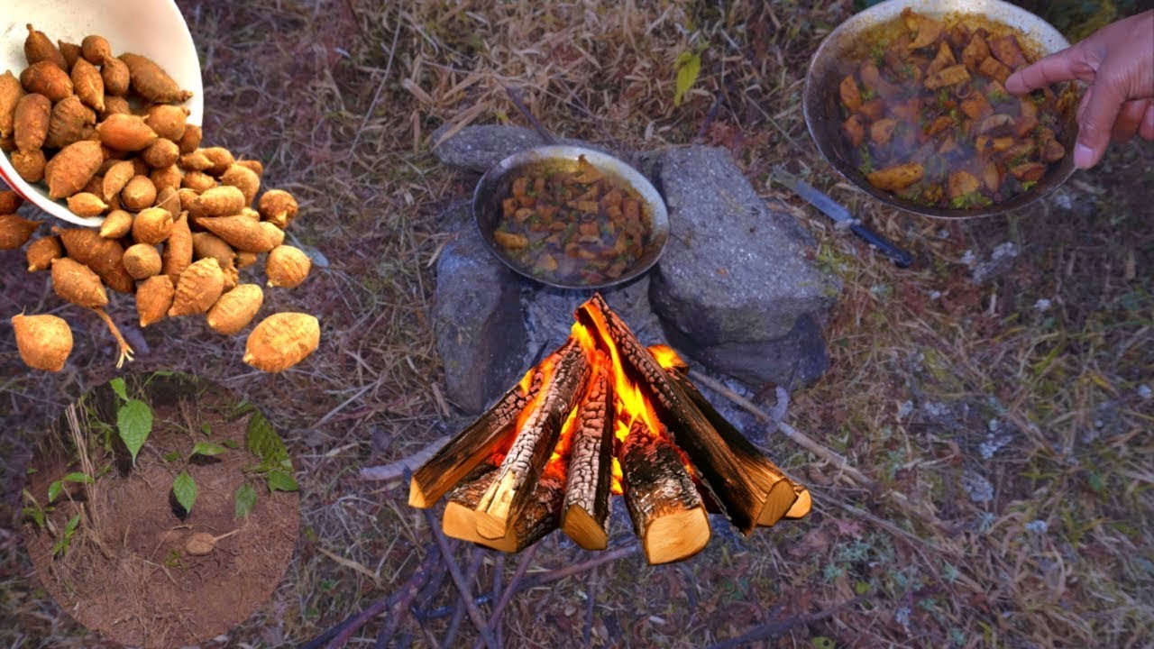 Harvesting Wild Fruits & Cooking | forest cooking fruits wild groundnut tubers 