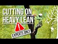 How to cut trees that lean hard a few techniques to do it safer tips and tricks