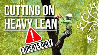 How to: Cut trees that lean hard! A few techniques to do it safer: Tips and tricks