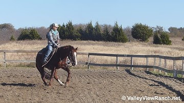 Mamas Cool Cat - working the flag #2! - ValleyViewRanch.net