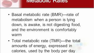 Chapter 18 - Nutrition and Metabolism