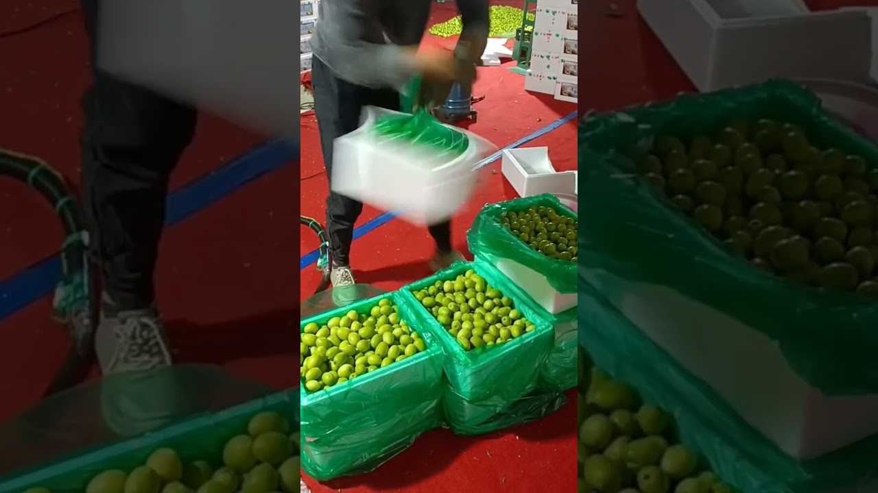 Watch Fruit Packing Techniques #satisfying #short on YouTube Watch Fruit Packing Techniques #satisfying #short on YouTube