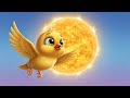 Wings up | Baby bird learn to fly ! Song for toddlers | 2025  #nurseryrhymes #kidssongs