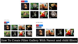 How to Create  Filter Gallery With Parent And Child Filters