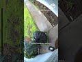 Thief disguised as trash bag steals package