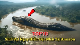 Top 10 Sinh Vật Nguy Hiểm Bậc Nhất Tại Amazon, Quái Thú Ăn Thịt Người Có Thật Sự Tồn Tại?