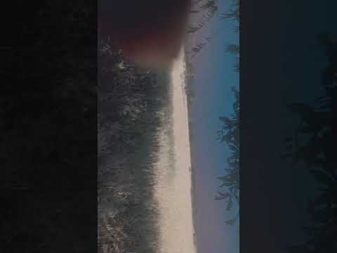 Surahannas Egzonibrahimi Pawarholakhalidhobijatimere Kalam