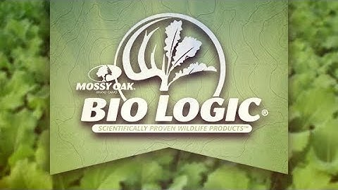 Biologic Deer Radish