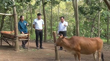 Tin Tức 24h: Hiệu quả từ mô hình hỗ trợ hộ nghèo ở Bình Phước