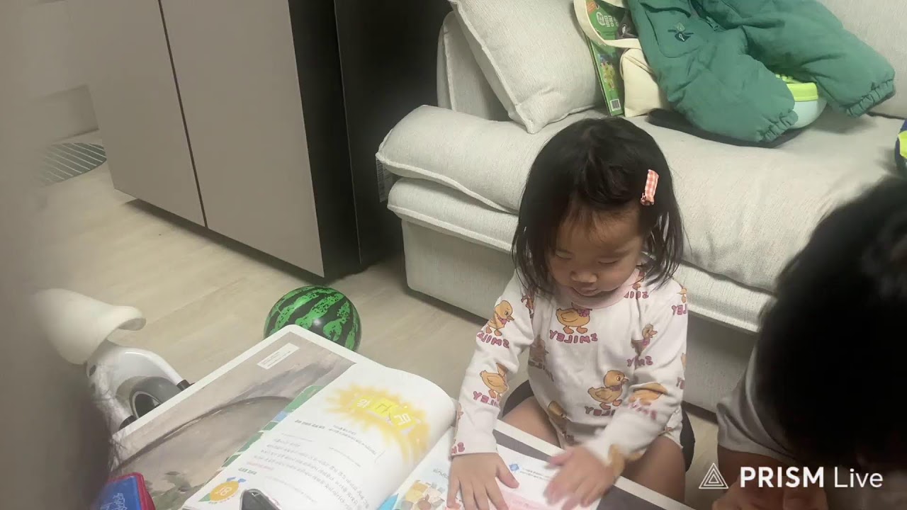 TV본도사 라이브 방송