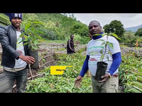 Hojiilee Misooma Qonnaa Aanaa Shanan Dhuuggoo