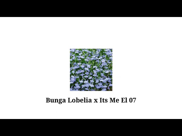 Bunga Lobelia x Its Me El 07 Vol 14 class=