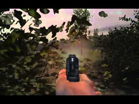 CODuo mod pistol