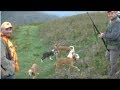 Battuta al cinghiale in Sicilia con ( I Maghi della Macchia ) 2019/2020. Boar hunting in Sicily