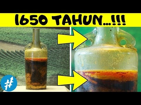 Video: Bagaimana Untuk Tidak Minum Di Syarikat