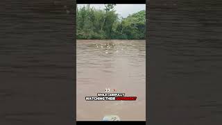 Celebrity Nobody imagined that old bottles could catch fish like this #Fishing #Curiosities #Explor Net Worth