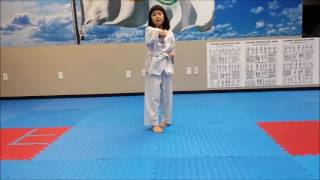 Taekwondo White Belt Form Basic Ki Cho