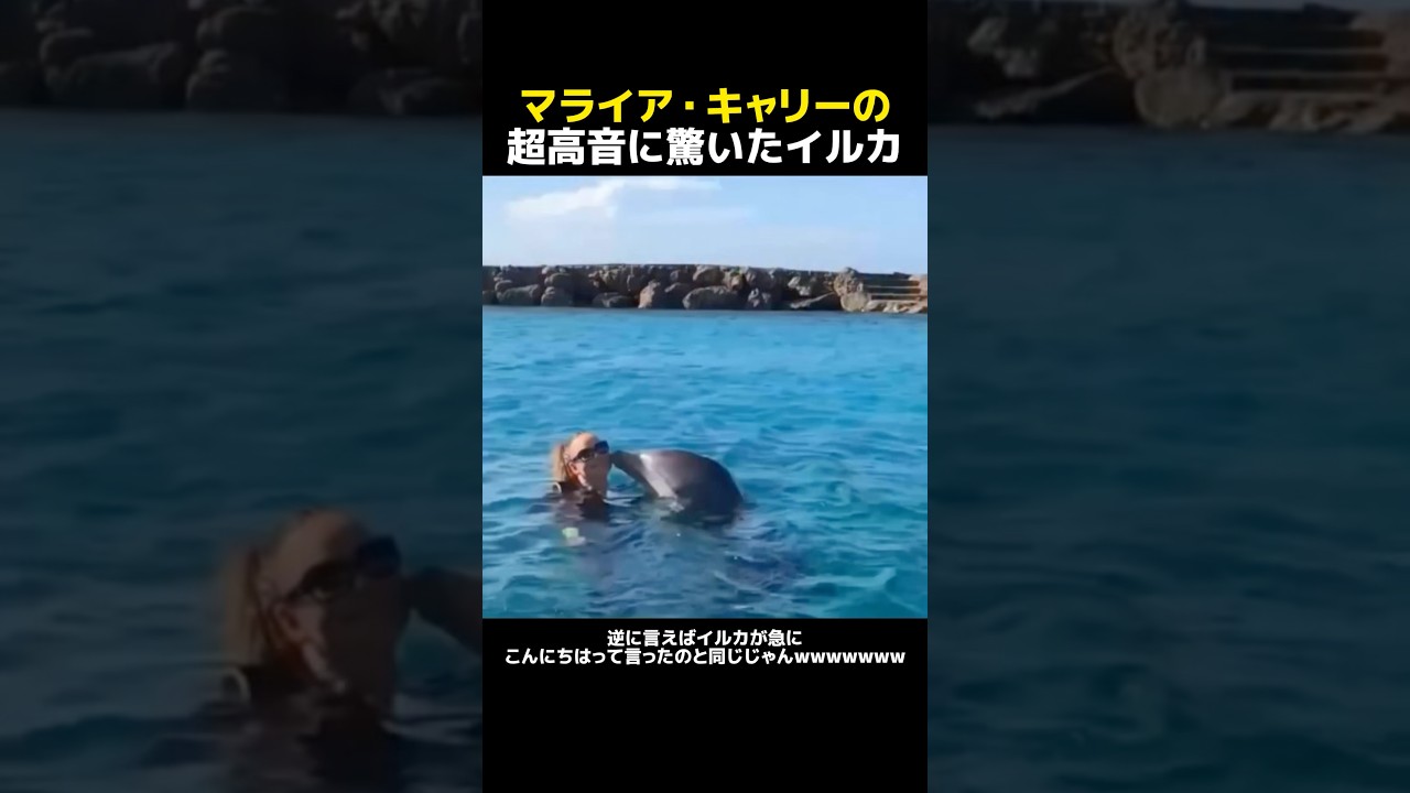 マライア・キャリーの超高音に驚いたイルカ