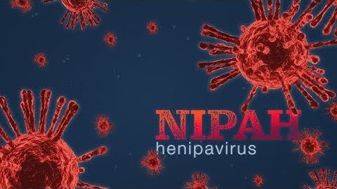 Nipah Virus Spread in Pakistan| sign and symptoms of Nipah Virus | Nipah Virus outbreak in Pakistan