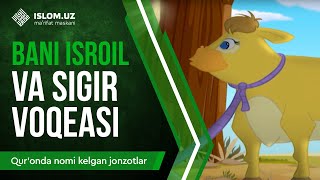 15. Bani Isroil va sigir voqeasi (2-qism) | Qur'onda nomi kelgan jonzotlar