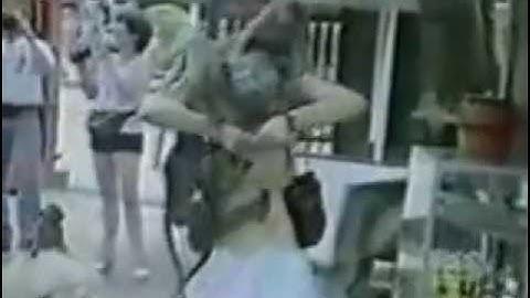 Funny Animals from www metacafe com