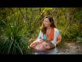 Remember to Remember | 1 hour relaxing handpan music to calm the nervous system | Grace Harteming