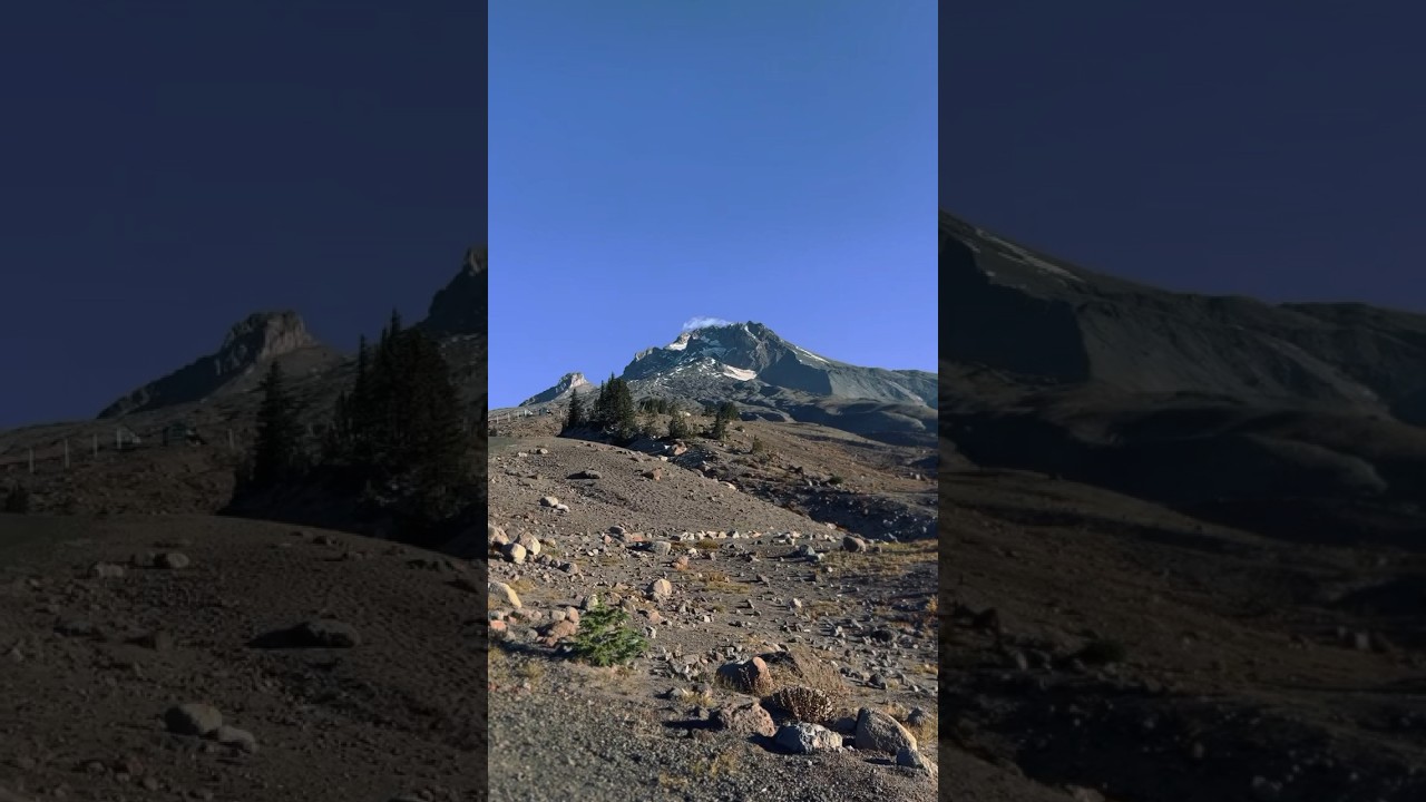 View of Mt. Hood from timberline lodge! 🤙🏻 