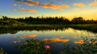 One Year Of Love Jeden Rok Miłości