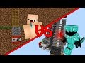 NOOB VS PRO TRAPS in MINECRAFT