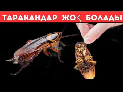 Нижний Новгородтағы жыныстық демалыс