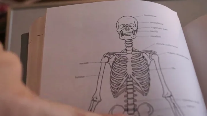 Unintentional ASMR | Professor struggles with using a camera 3 (soft talking) (camera sounds)