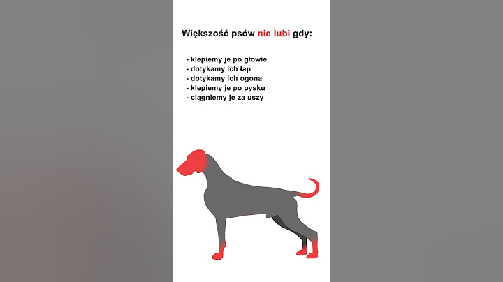 Jak nie głaskać psa? #shorts