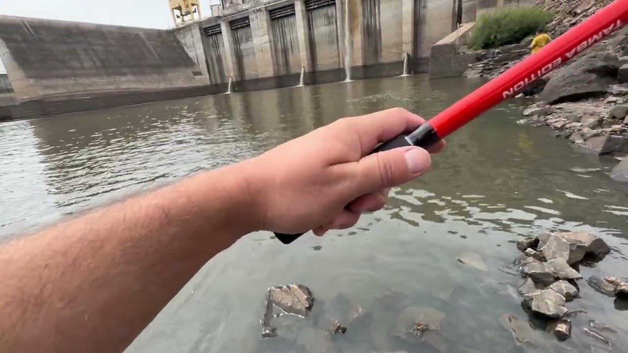 Pescamos en la Represa de Palmar Dorados y Tararira 