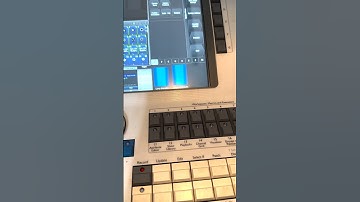 Desk Lamp Sceen Brightness