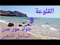 جولة في أجمل شواطئ عدن الساحل الذهبي (جولد مور) والقلوعة
