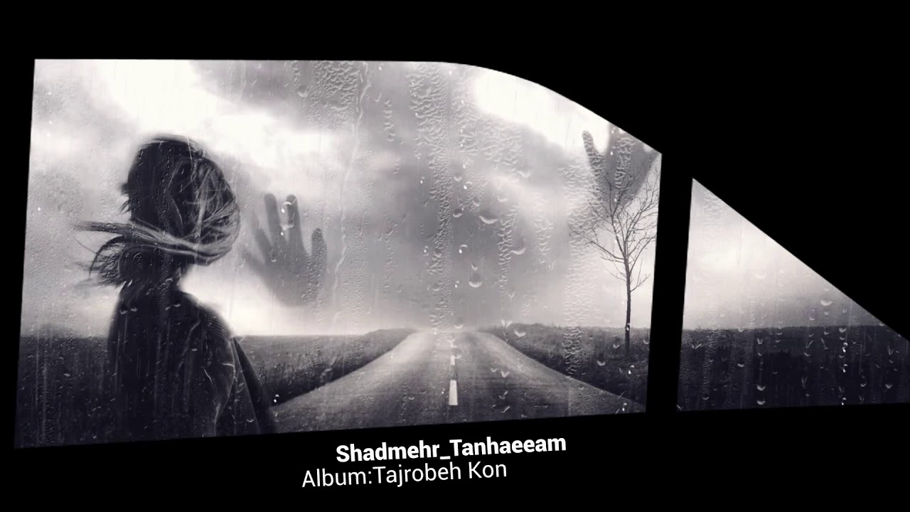 Shadmehr Tanhaeiam 